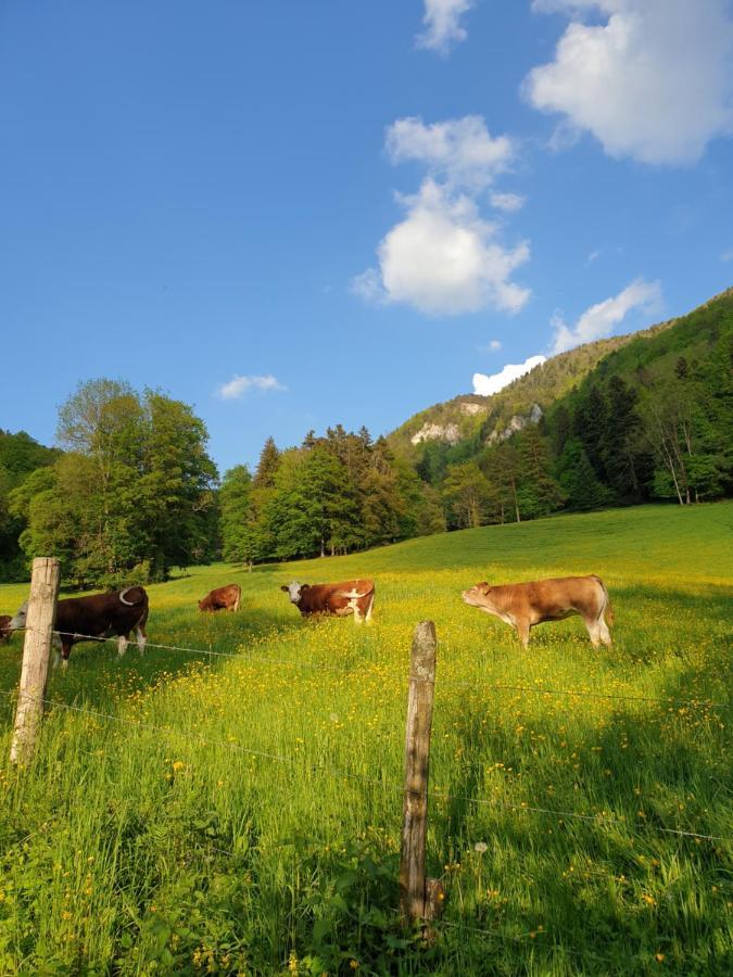 Agreable Chambre D'Hotes, Au Calme, Dans La Nature Roches Luaran gambar
