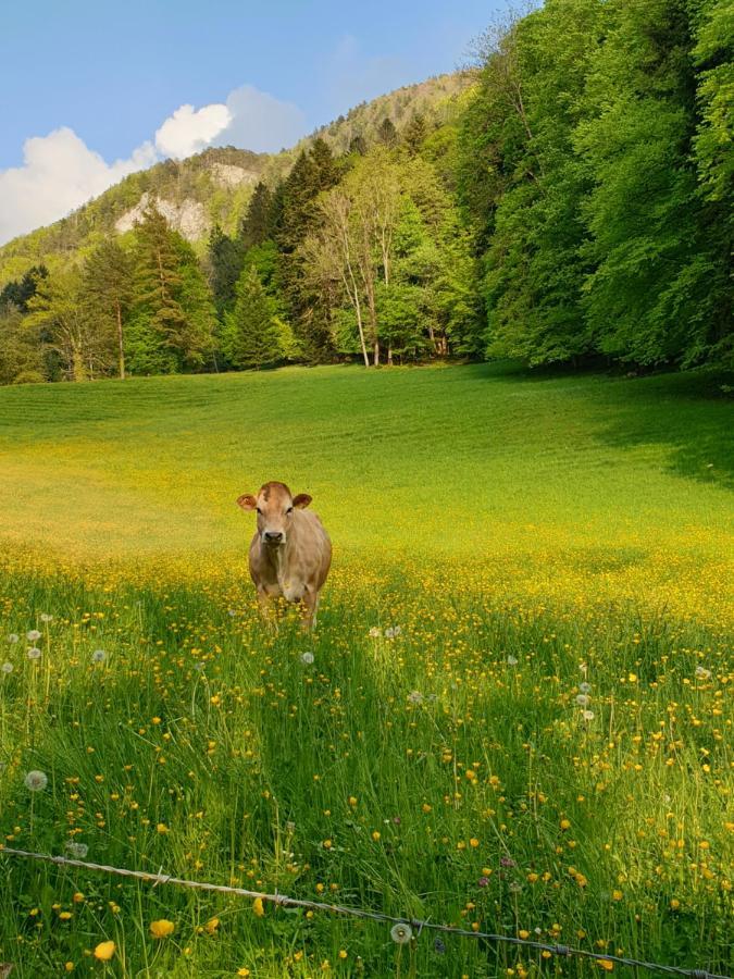 Agreable Chambre D'Hotes, Au Calme, Dans La Nature Roches Luaran gambar